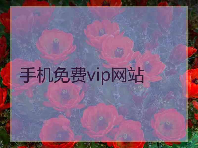 手机免费vip网站