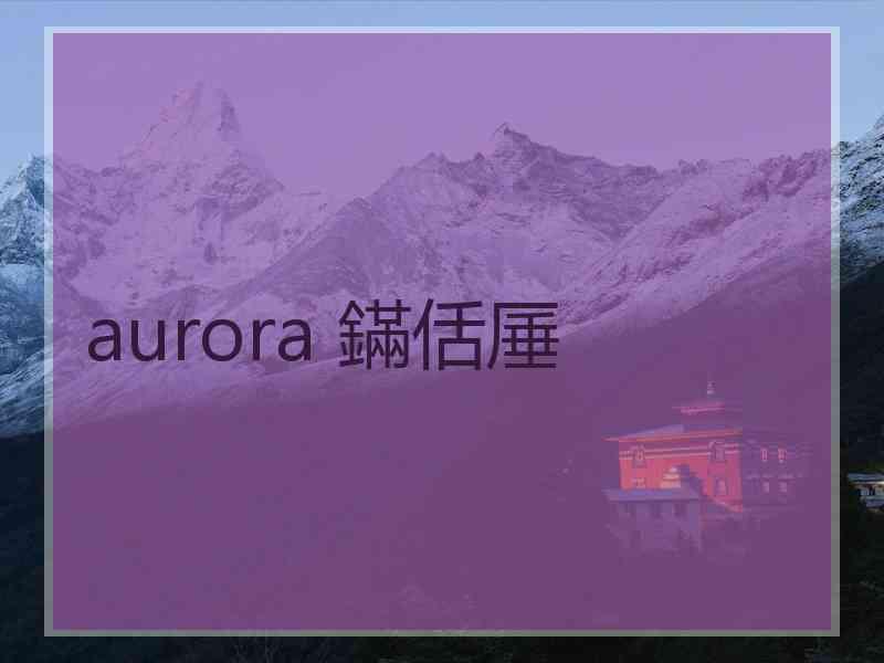 aurora 鏋佸厜