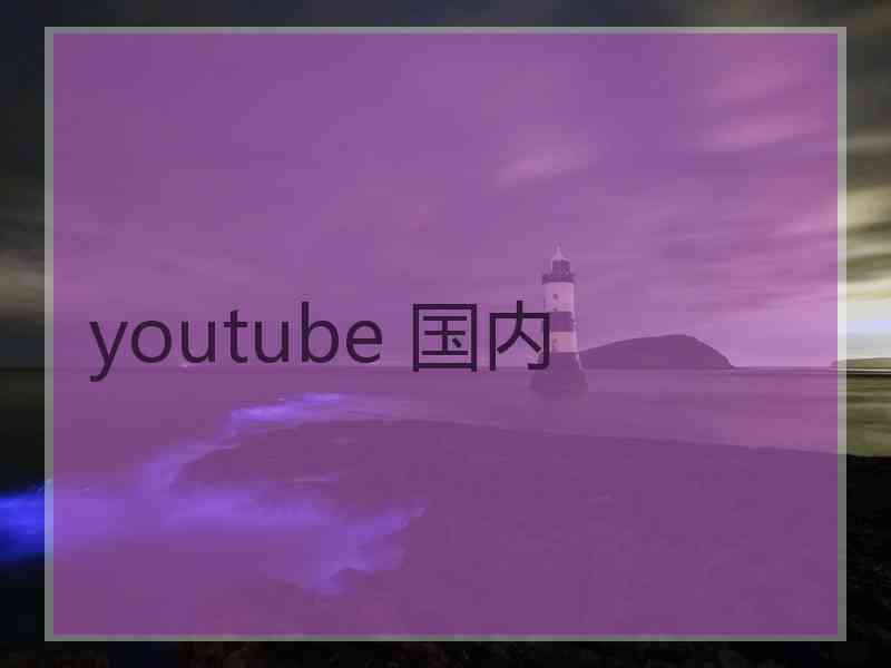 youtube 国内