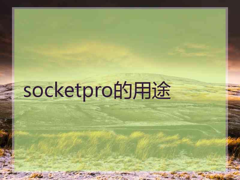 socketpro的用途