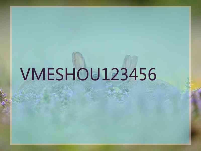 VMESHOU123456