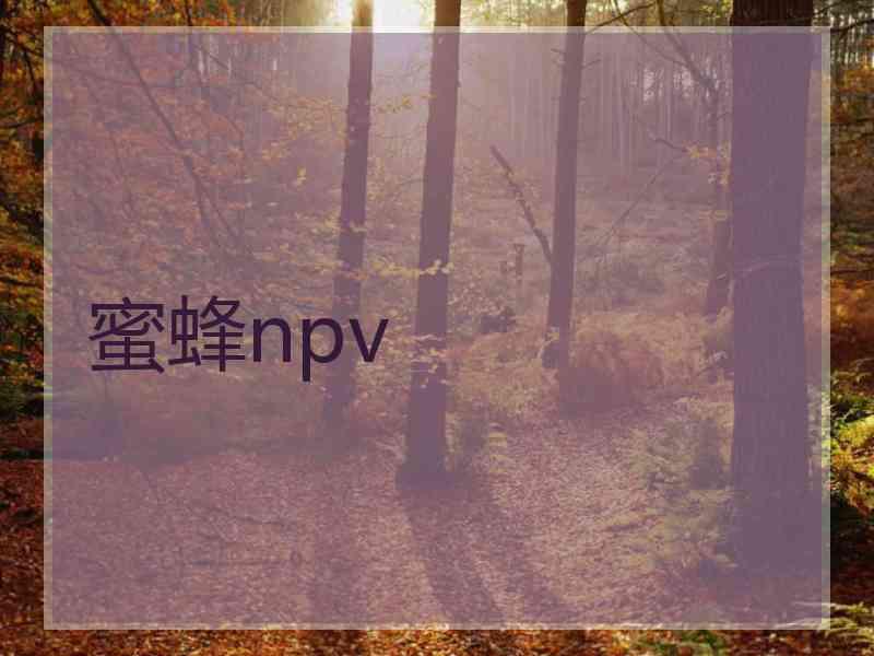 蜜蜂npv