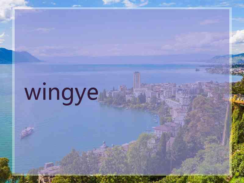 wingye