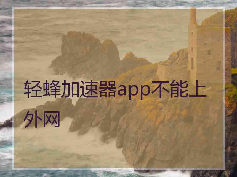 轻蜂加速器app不能上外网