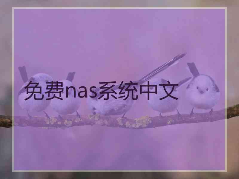 免费nas系统中文