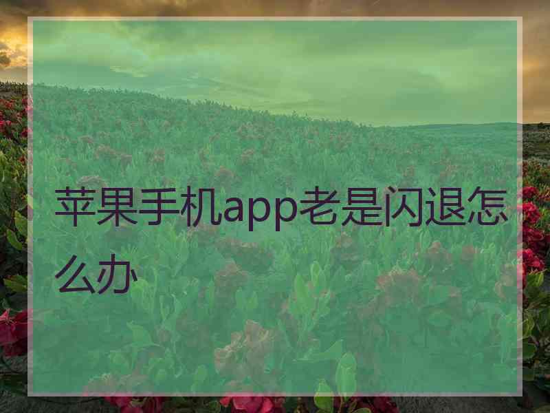 苹果手机app老是闪退怎么办