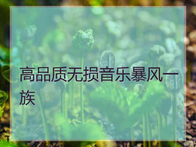 高品质无损音乐暴风一族