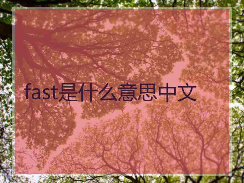 fast是什么意思中文