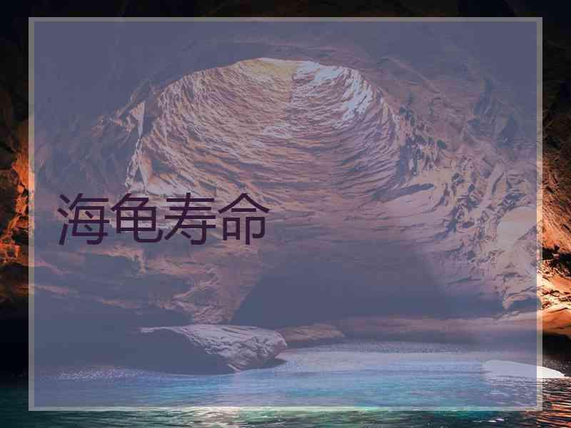 海龟寿命