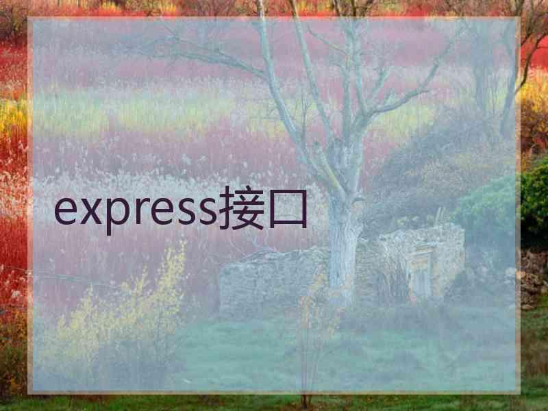 express接口