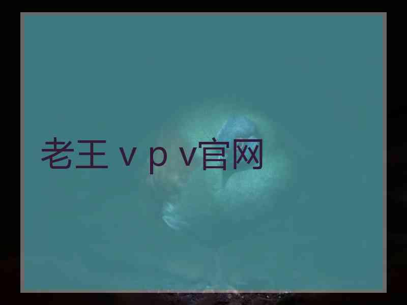 老王 v p v官网
