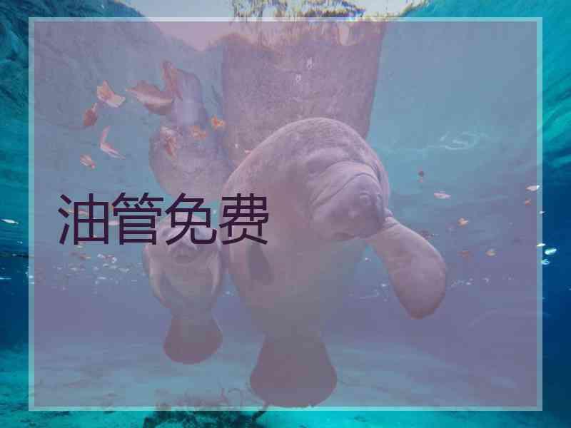 油管免费