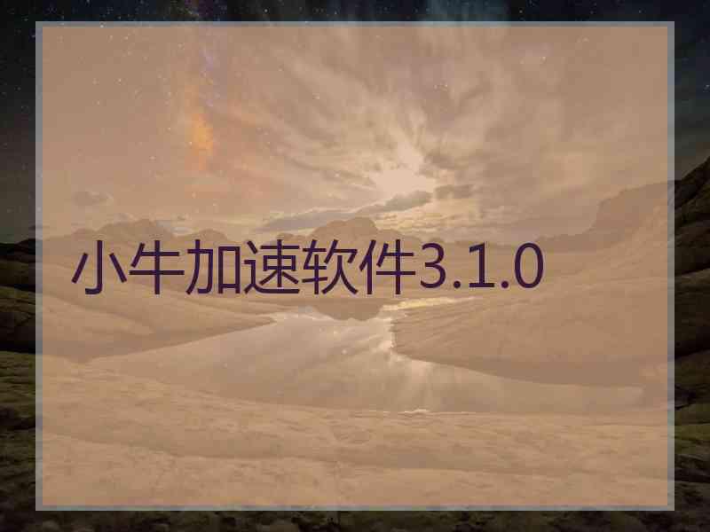 小牛加速软件3.1.0