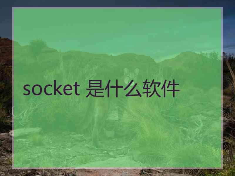 socket 是什么软件