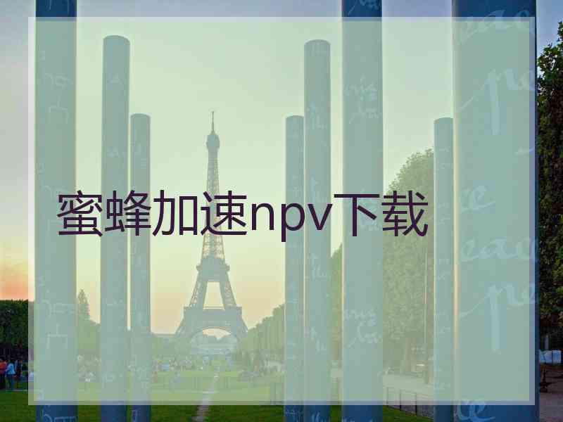 蜜蜂加速npv下载