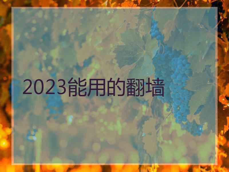 2023能用的翻墙