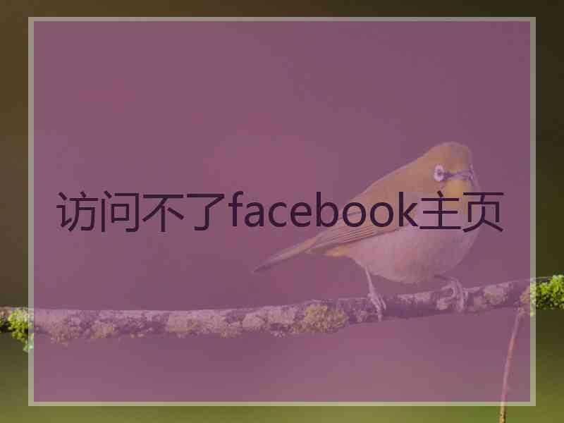 访问不了facebook主页