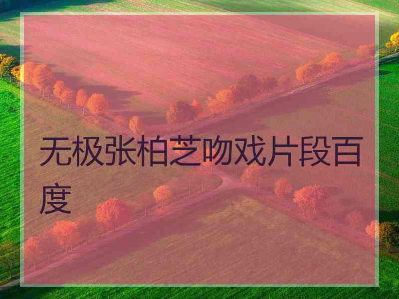 无极张柏芝吻戏片段百度