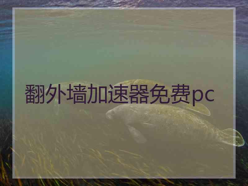 翻外墙加速器免费pc