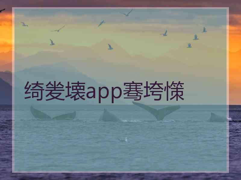 绮夎壊app骞垮憡