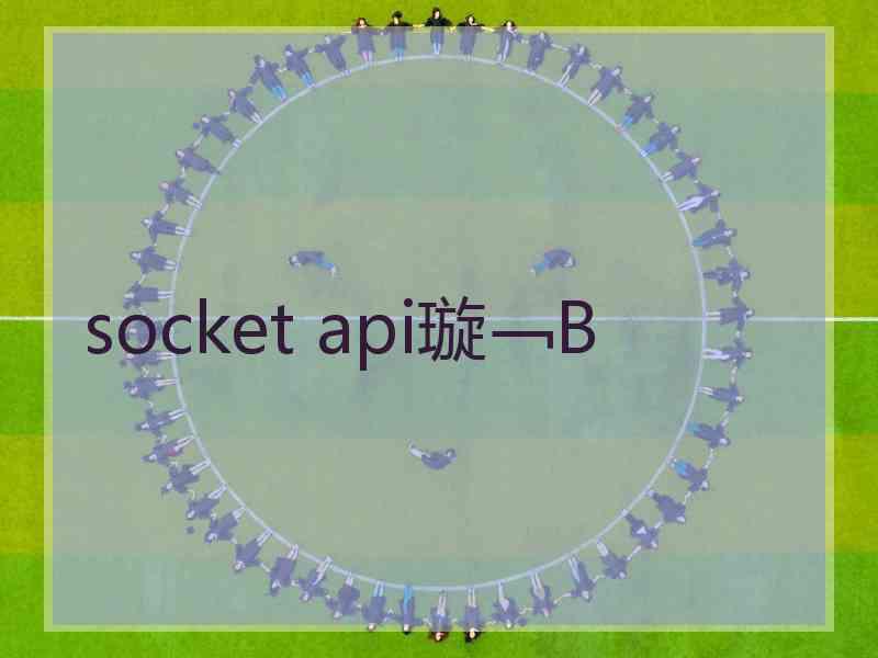 socket api璇﹁В