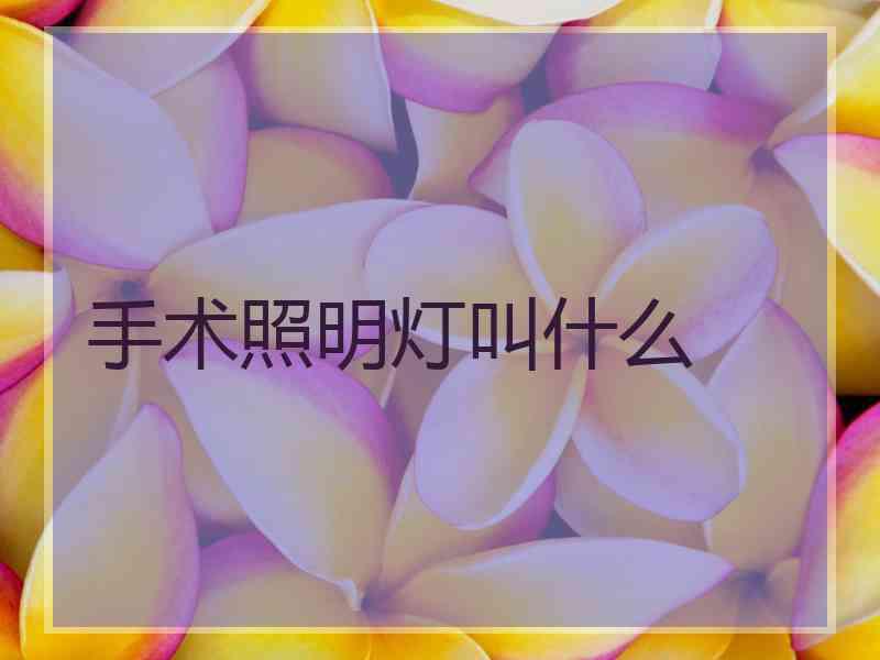 手术照明灯叫什么