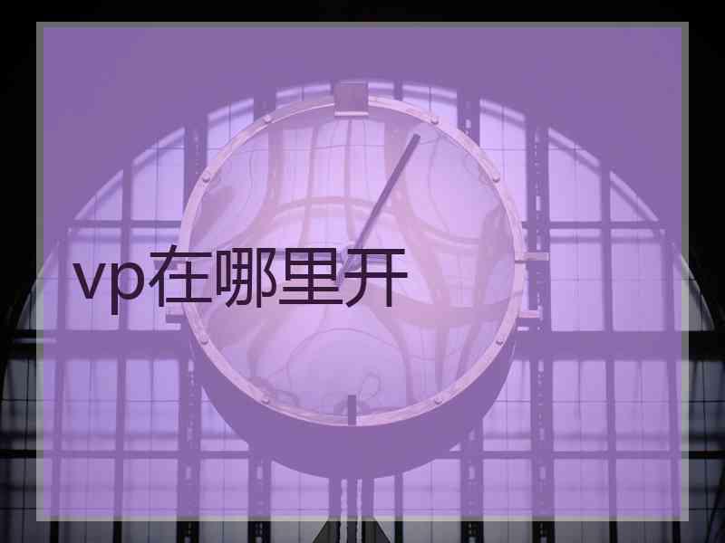 vp在哪里开