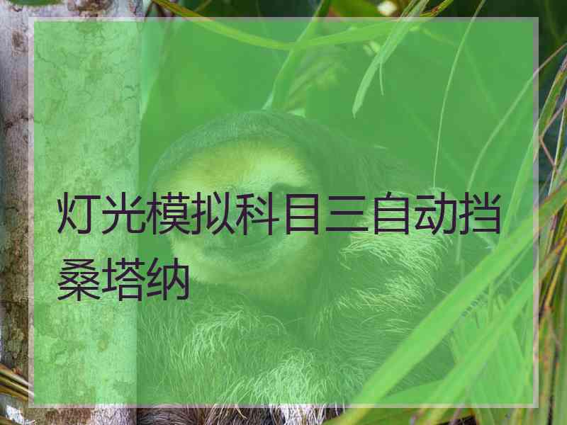 灯光模拟科目三自动挡桑塔纳