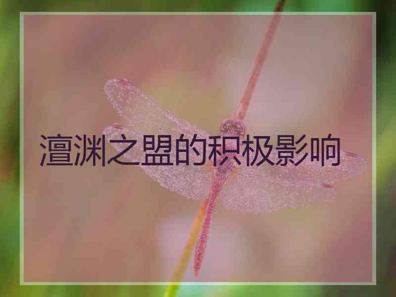 澶渊之盟的积极影响