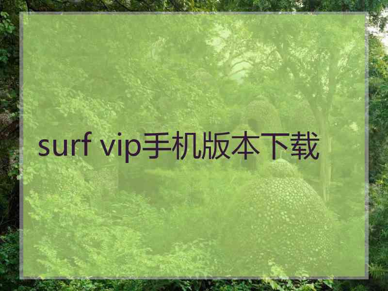 surf vip手机版本下载