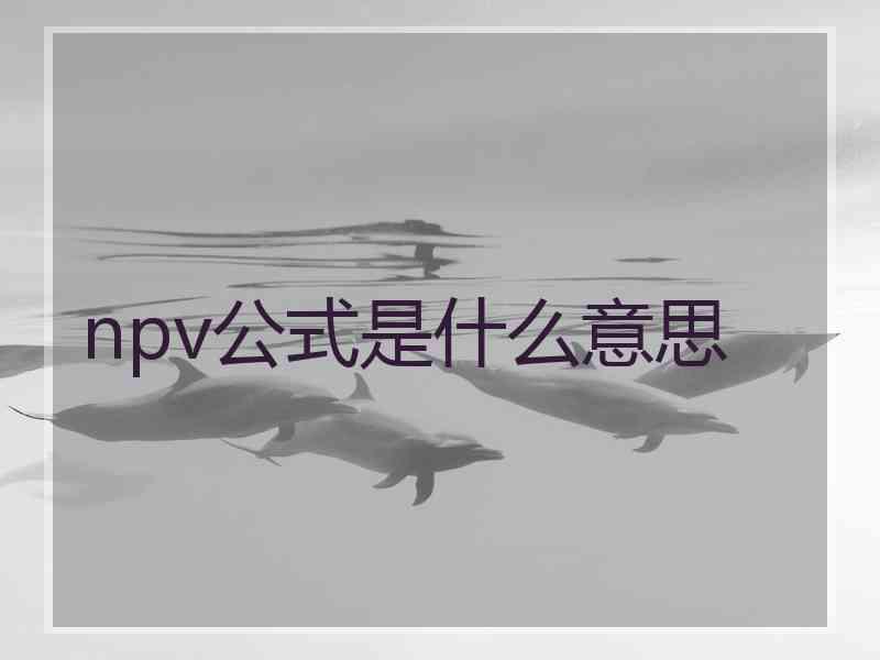 npv公式是什么意思