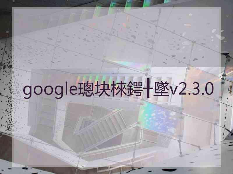 google璁块棶鍔╂墜v2.3.0