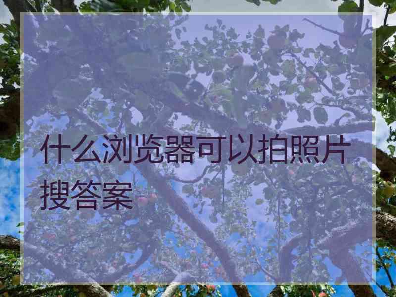 什么浏览器可以拍照片搜答案