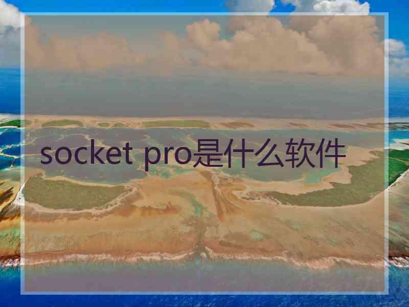 socket pro是什么软件