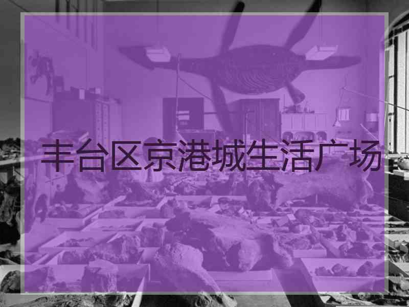 丰台区京港城生活广场