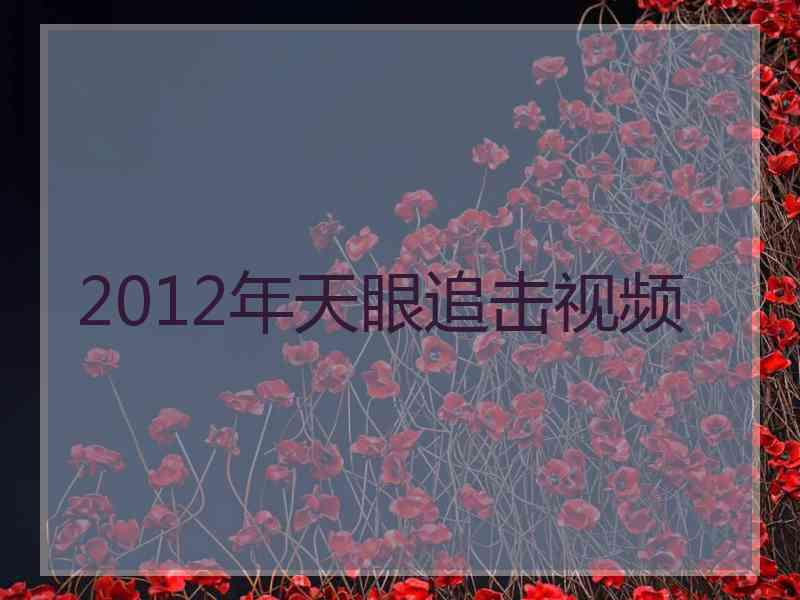 2012年天眼追击视频