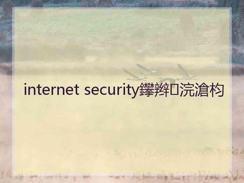 internet security鑻辫浣滄枃