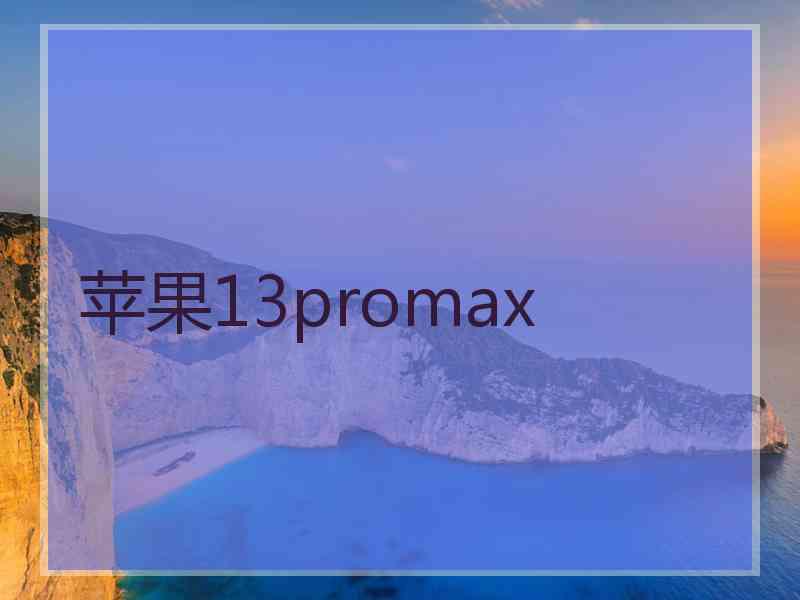 苹果13promax