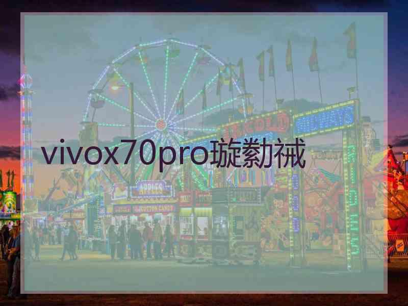 vivox70pro璇勬祴