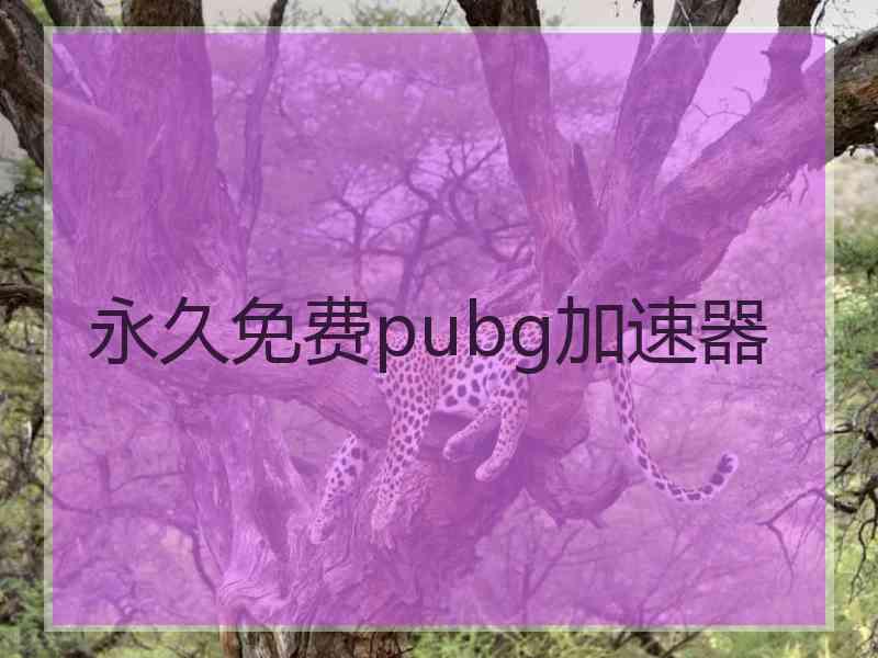 永久免费pubg加速器