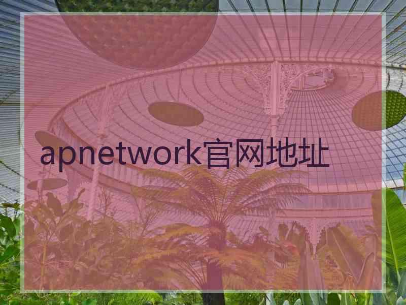 apnetwork官网地址