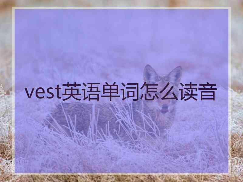 vest英语单词怎么读音