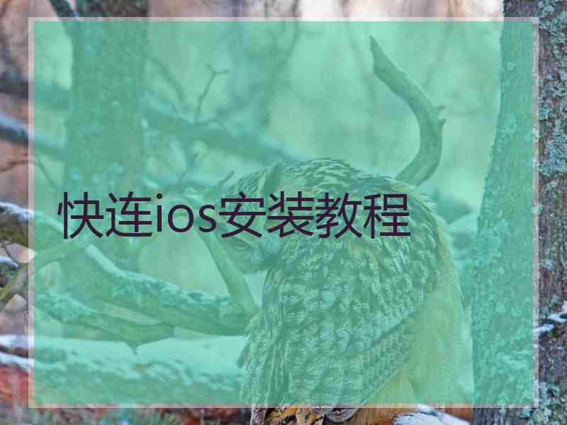 快连ios安装教程