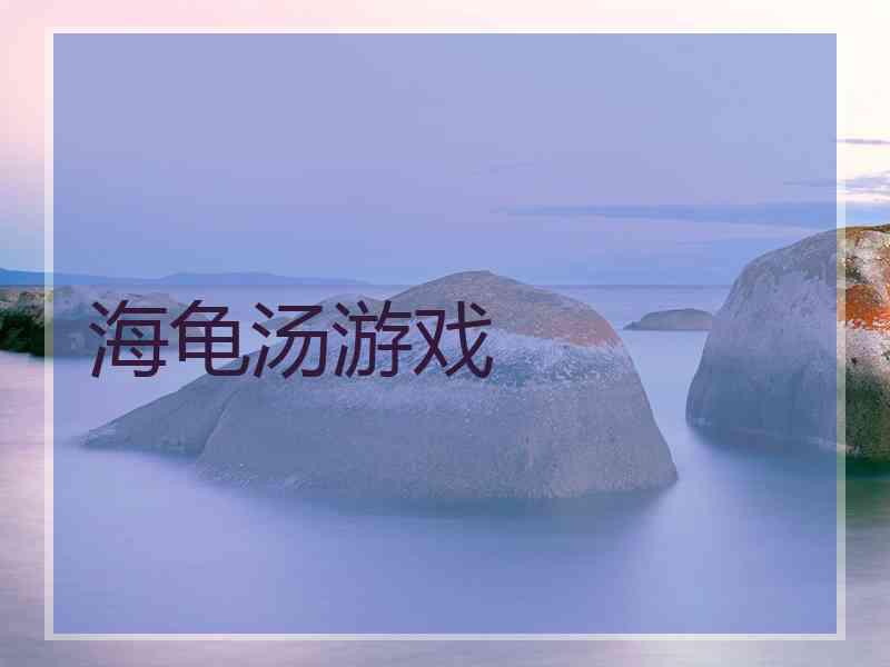 海龟汤游戏