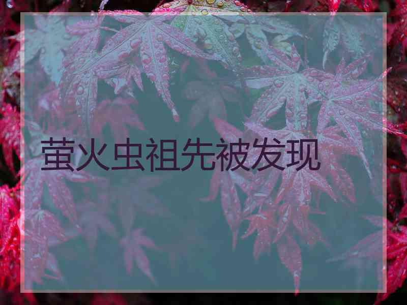 萤火虫祖先被发现