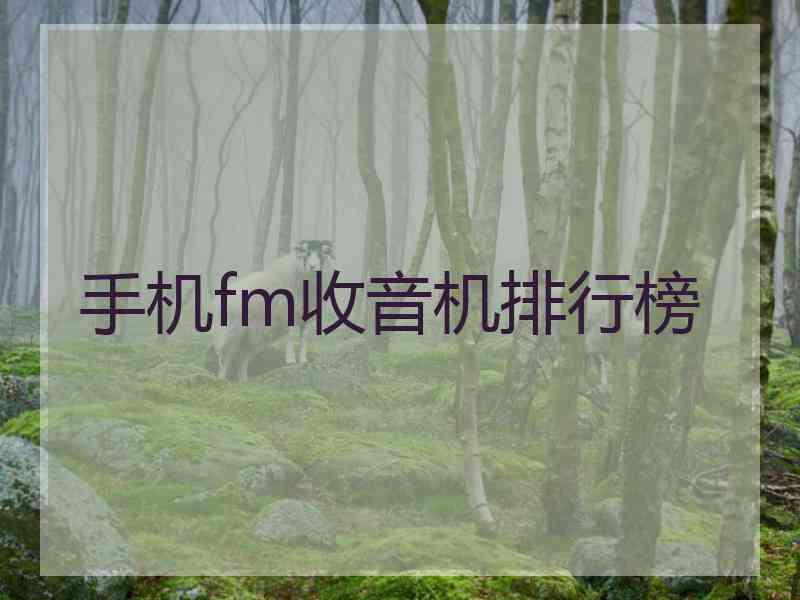 手机fm收音机排行榜