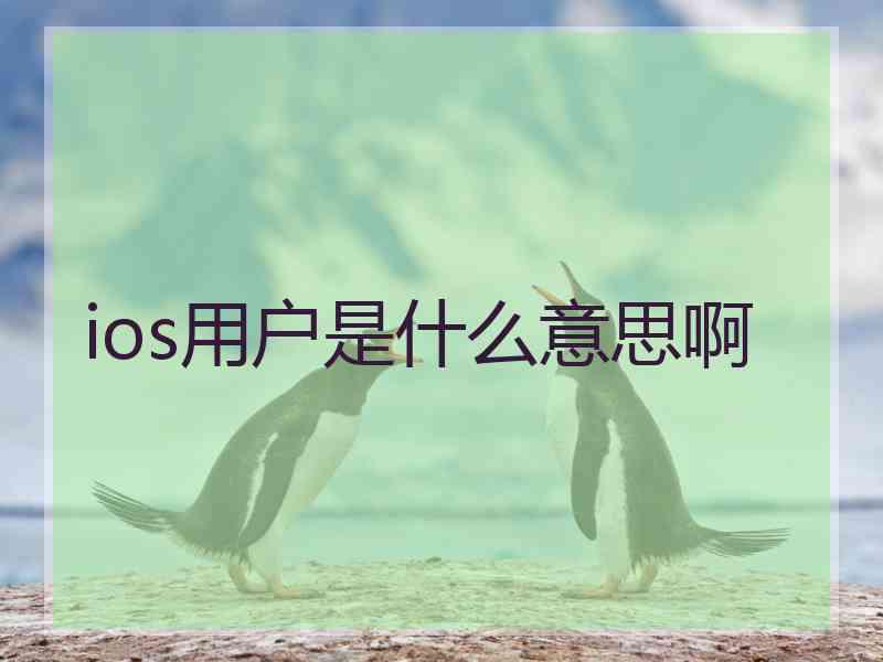 ios用户是什么意思啊