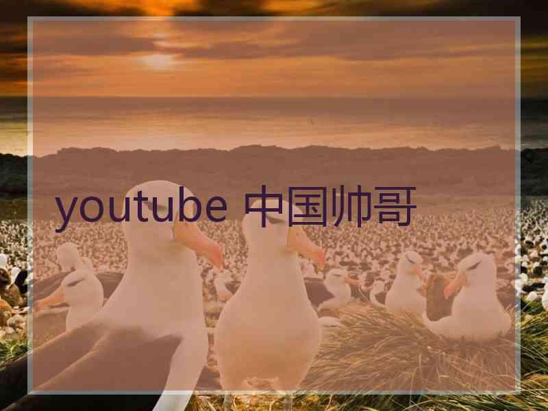 youtube 中国帅哥