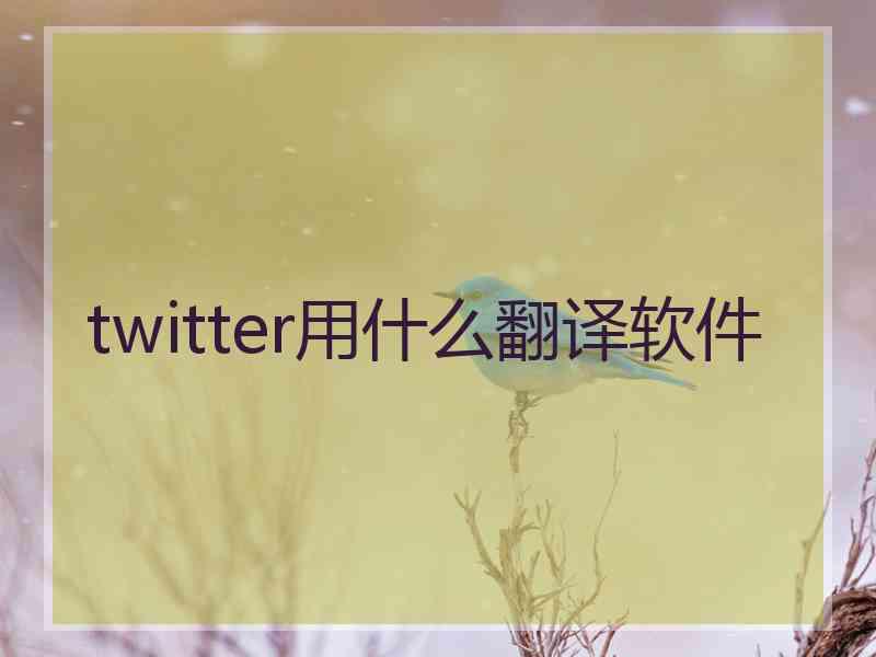 twitter用什么翻译软件