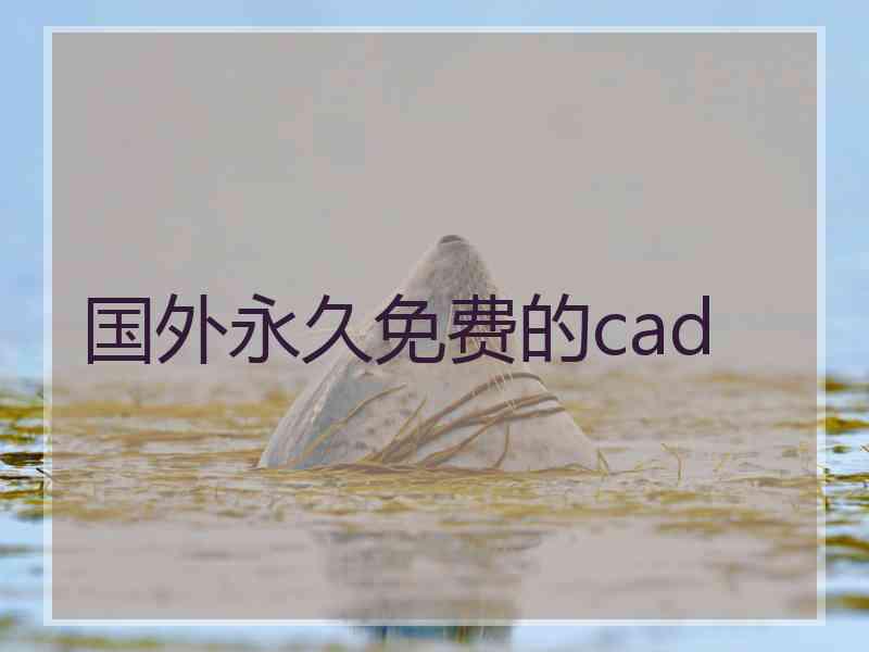 国外永久免费的cad